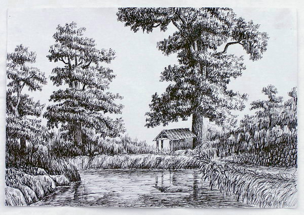 乡村风光(军子钢笔画)